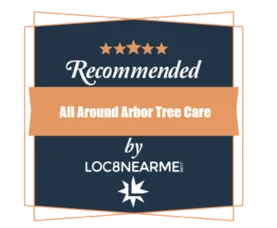 Top Tree Service in Portland