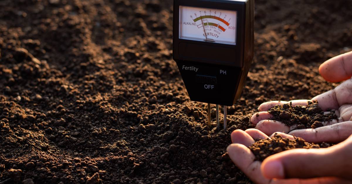 A black pH meter sits in the ground and displays results as a pair of hands holds clumps of brown soil nearby.