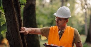 allaroundarbor 445048 man cutting tree imageb