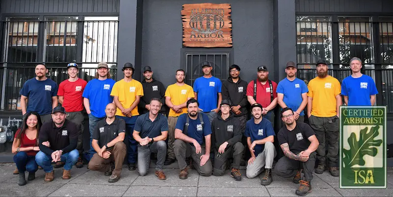 All-Around-Arbor-Portland-Arborists All-Around-Arbor-Portland-Arborists