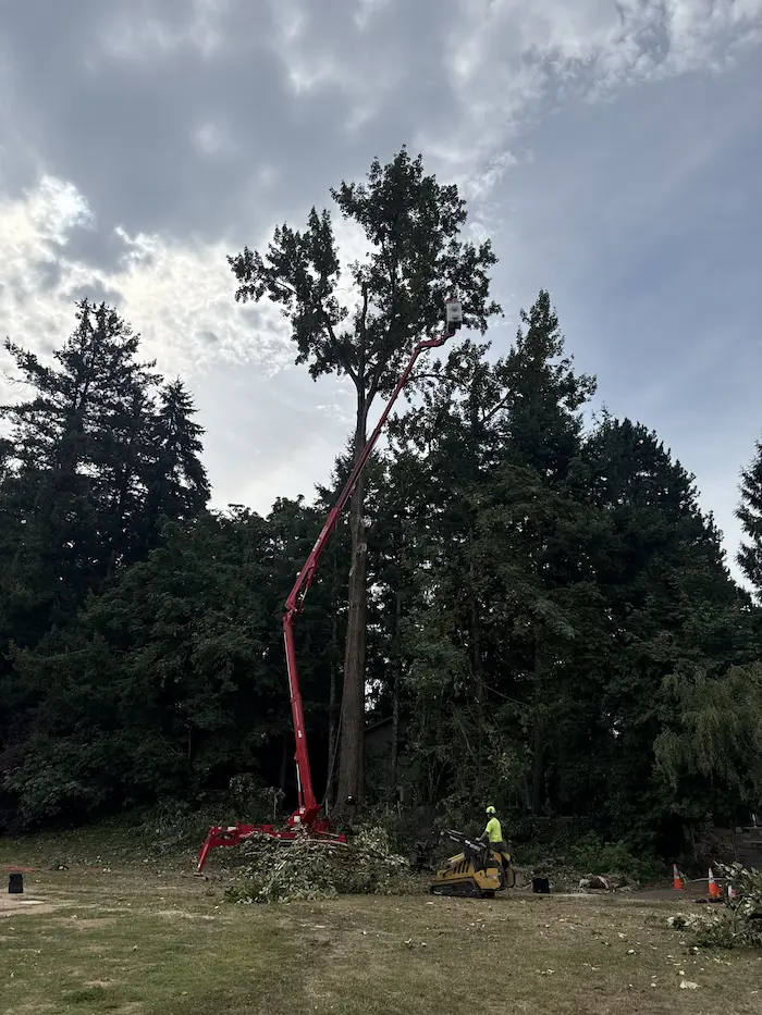 All-Around-Arbor-Tree-Service-Portland All-Around-Arbor-Tree-Service-Portland