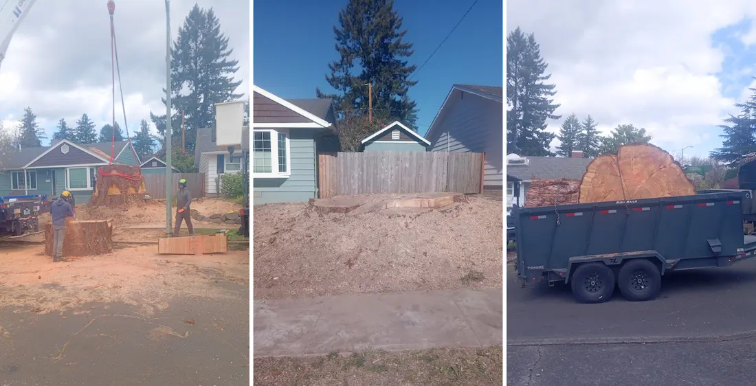 Before After Tree Stump Grinding Removal Portland