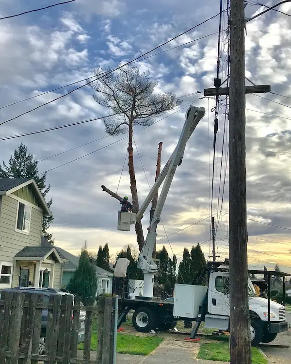 Emergency-Tree-Service-ISA-Utility-Specialist-Portland