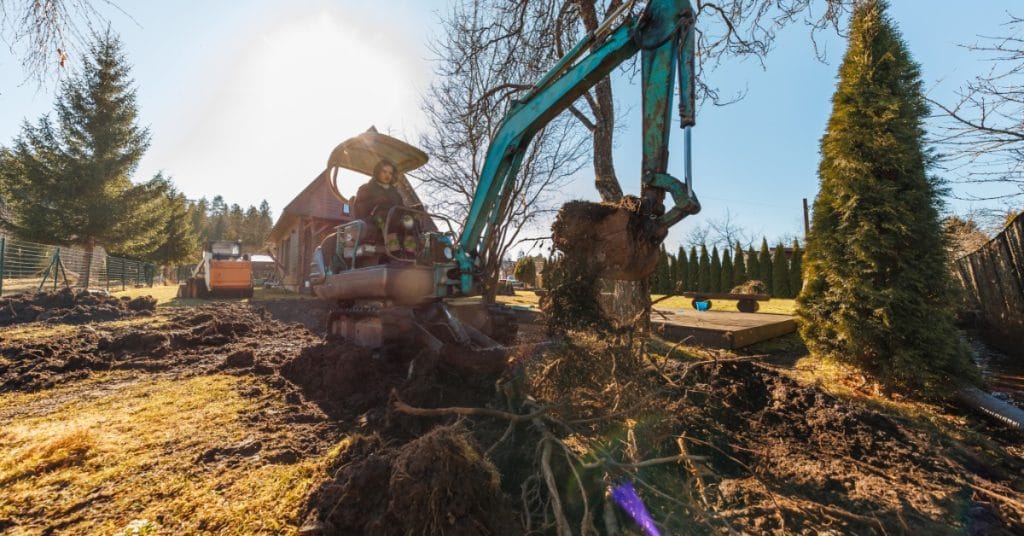 An excavator removes soil and exposes tree roots during construction work near several established trees.