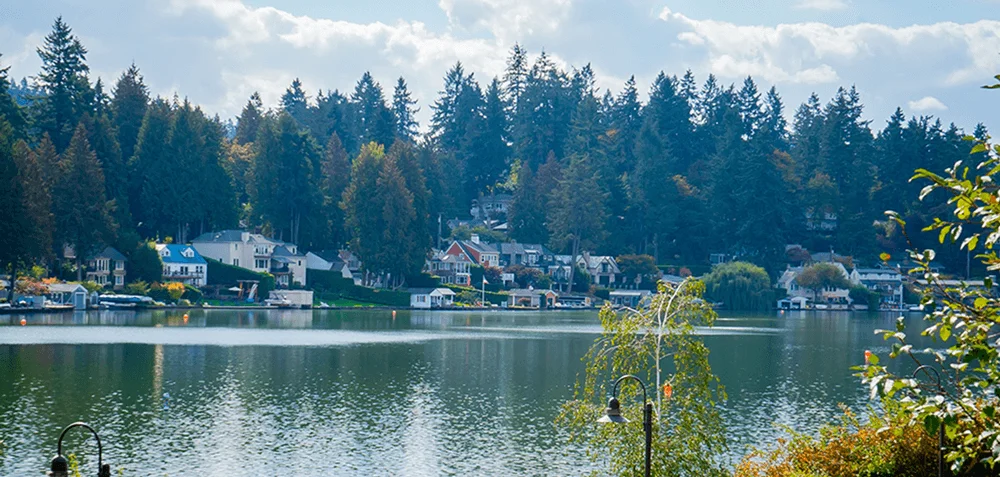 lake-oswego-tree-service