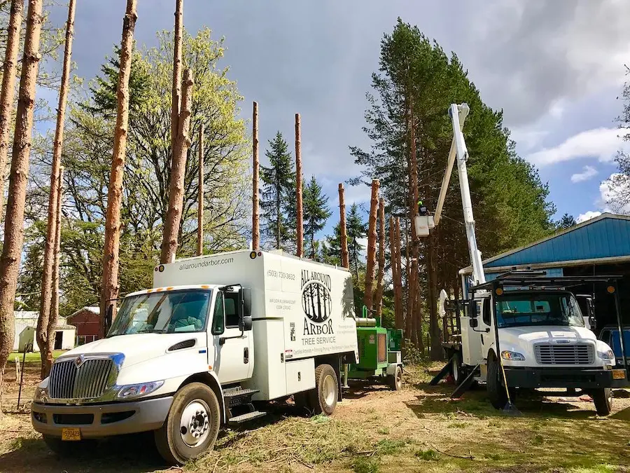 Lot-Clearing-Portland lot-clearing-Portland