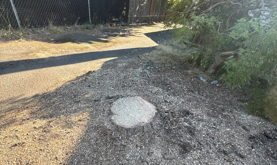 stump grinding Portland