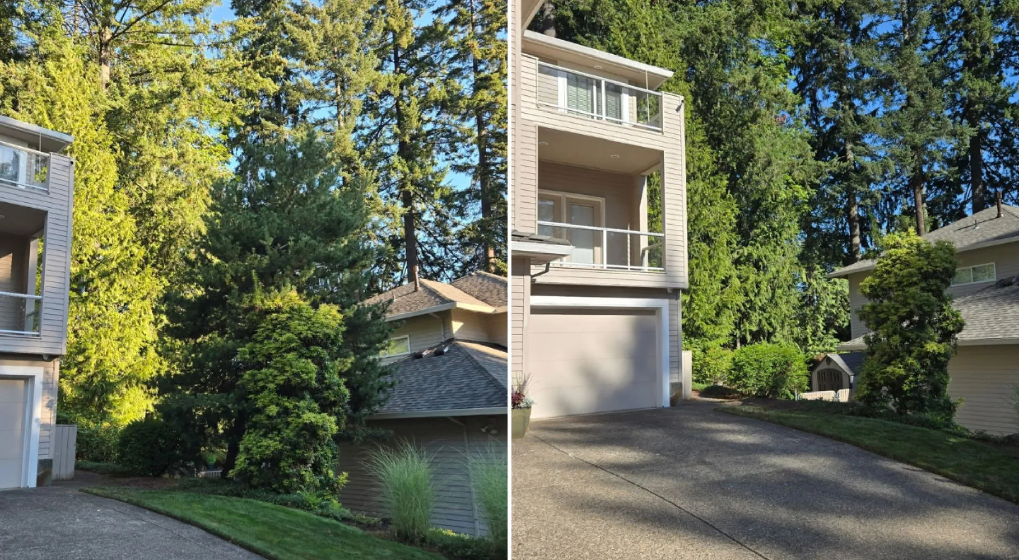 beaverton oregon tree service 2 1