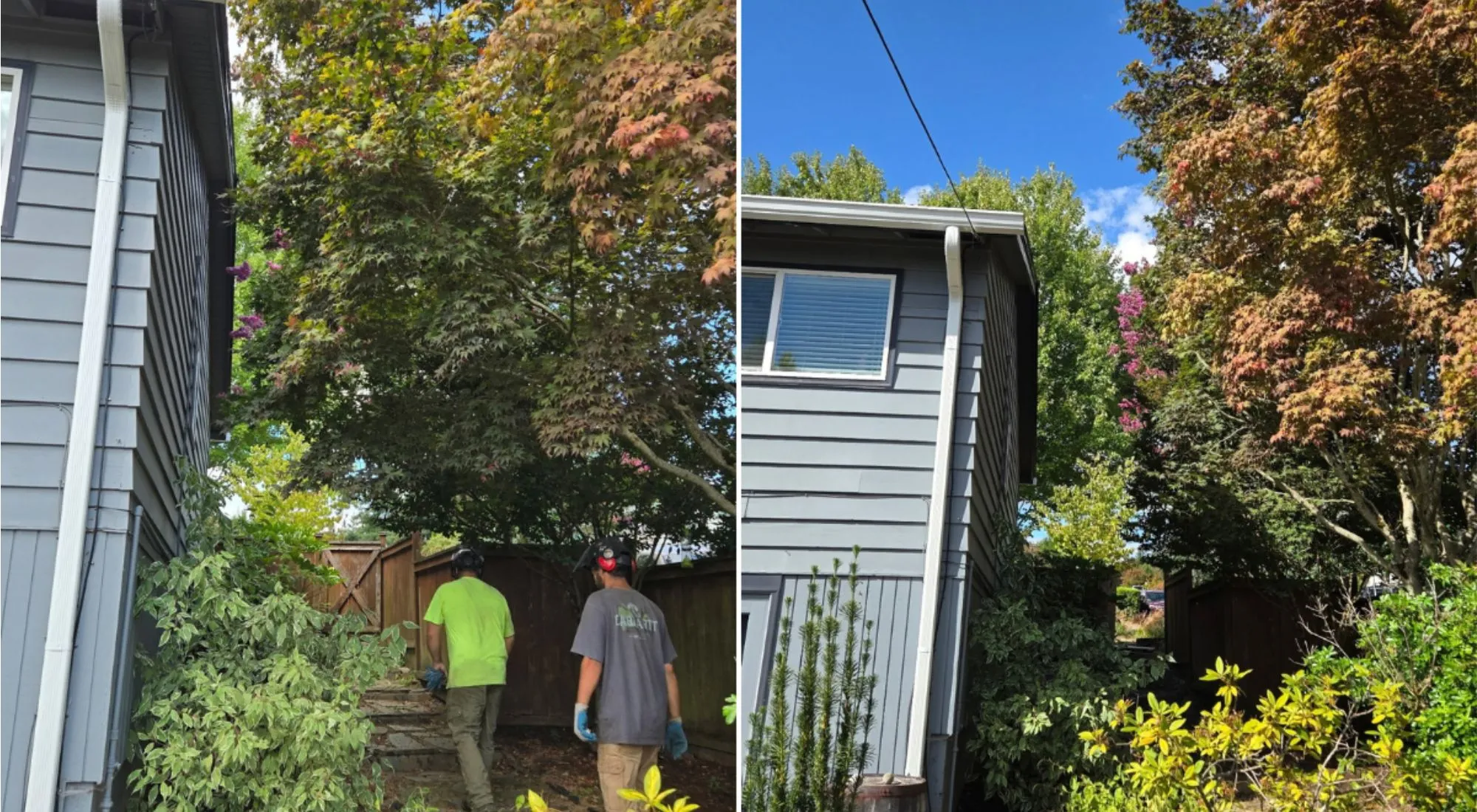 beaverton oregon tree services 1