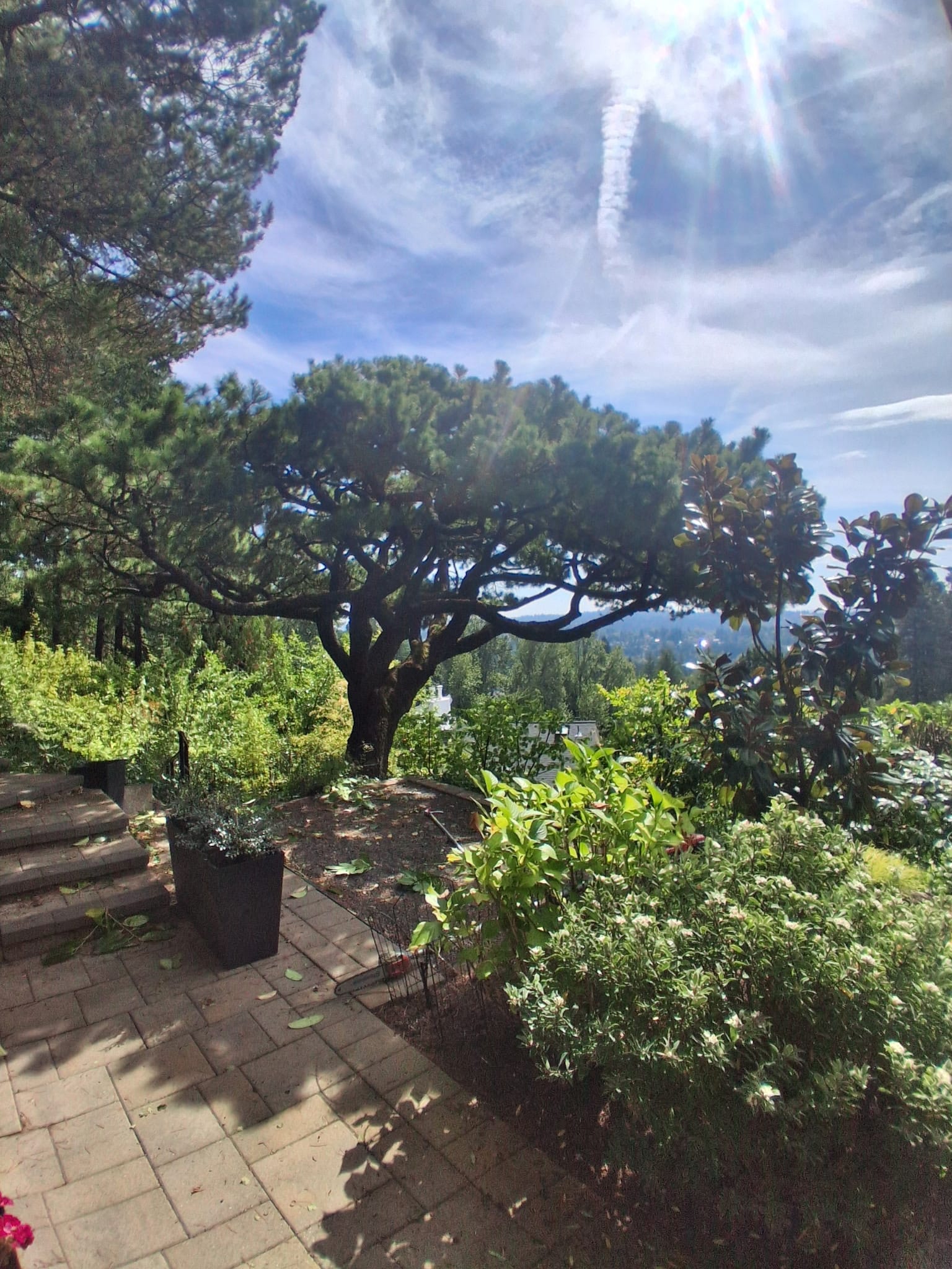 beaverton-tree-service