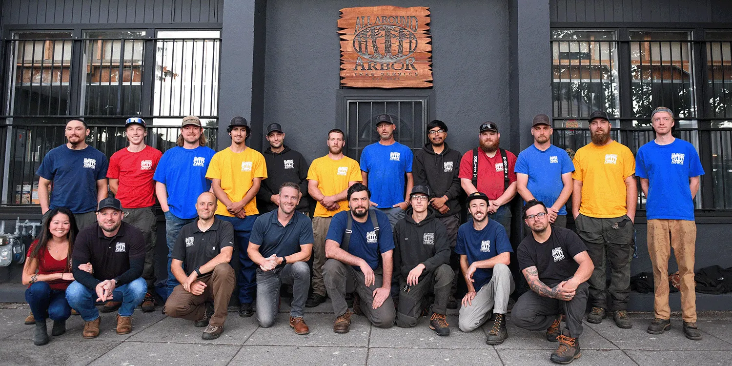 tree-removal-beaverton