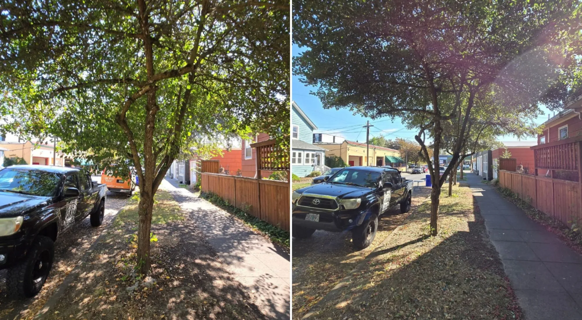 tree services beaverton or 1